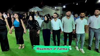 Muammer \u0026 Fatma- Düğün Töreni-Stranbej Yusuf-Zana Say \u0026 Welat- Taşpınar Cihanbeyli BaşaranVideo®