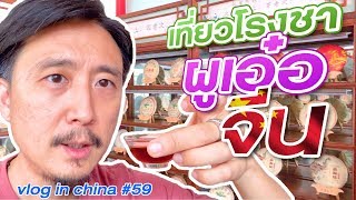 เที่ยว จีน - โรงงานชาจีนผูเอ๋อ ในสิบสองปันนา ยูนนาน จีน | VLOG IN CHINA EP59