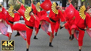 【4k 60fps】響’ 『鳥（花鳥風月）』 東京元気祭り 2023.10.14 ステージ よさこい YOSAKOI