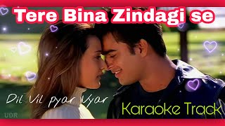 Tere Bina Zindagi se  | Hindi Bollywood karaoke song | Dil Vil pyar Vyar | Alka and Hariharan