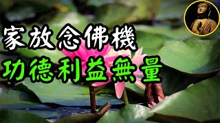 【佛法無邊】淨空法師開示:家中放念佛機 利益功德無量 淨化磁場 改變命運