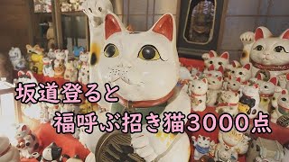 【おもしろ展示施設】招き猫美術館 in 尾道（尾道市）