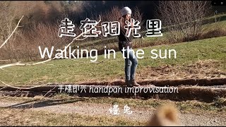 手碟即兴《走在阳光里》 Walking in the sun -- Handpan music