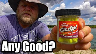 Will Carp Eat Berkley Gulp Fake Corn? (Carp Bait Experiment)