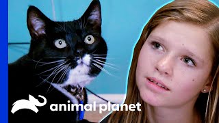 Can This Aspiring Vet Control Her Cat's Territorial Impulses? | My Cat From Hell