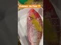 Cuisine Congolaise | Poisson Au Four