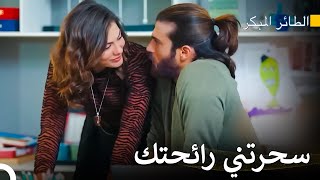 رحلة سينام للعثور على الحب #65 - سلسل الطائر المبكر