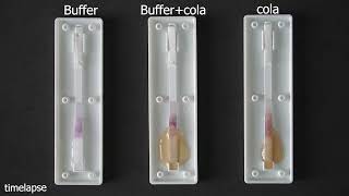 Sciencestand | เกิดอะไรขึ้นเมื่อหยดน้ำอัดลมลงบน ATK