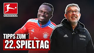 Bundesliga, 22. Spieltag - Prognose: Komische Mannschaften | Das schnelle Orakel