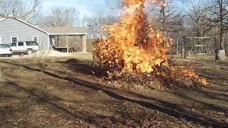 Exploding leaf pile