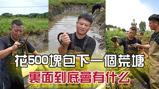 花500包下壹個荒塘，裏面到底會有什麽？#三農 #農村生活  #小飛哥#戶外 #抓魚vlog