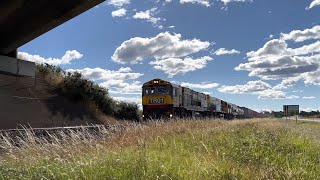 TasRail TR01 TR12 TR03 #31 train Hagley Straight