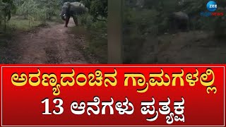 ELEPHANT || ಕಲಘಟಗಿ ತಾಲೂಕಿನ ಅರಣ್ಯದಂಚಿನ ಗ್ರಾಮದಲ್ಲಿ ಆನೆಗಳ ಹಿಂಡು || ZEE KANNADA NEWS