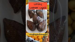 இந்த பழம் எப்படி இருக்கும் 🤔 Exotic fruits Dubai #exocticfruit #dubai #salak #travel #shorts #feeds