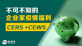 【加拿大福利】企业家不可不知的疫情福利 !  租金补贴CERS +工资补贴CEWS，6万加币的无息贷款，甚至有两万赠款！ | 多咨处（S2 Consulting）| 加拿大🇨🇦