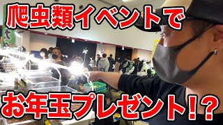 25万円分のお年玉プレゼント!?・ウンコ対決もあります【近畿レプタイルズマーケット】【利きウンコ】