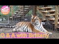 It's Moving Cats Day at Big Cat Rescue  ! Part 2    08 05 2021