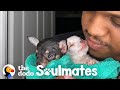 Tiniest Rescue Puppies Help Heal Their Dad's Broken Heart | The Dodo Soulmates