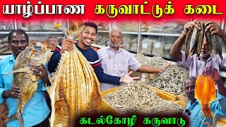 யாழில் அதிகம் விரும்பி கேட்கும் கடல்கோழி கருவாடு😲 | Jaffna Dry Fish Shop 🦈 | Jaffna | Sri Lanka