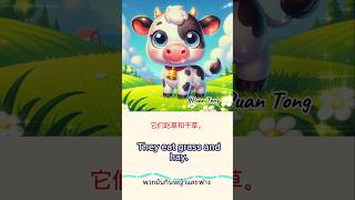 #牛 #动物 #cow # animal #lembu