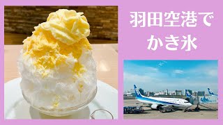 羽田空港の美味しいかき氷🍧ル・シエール［東京vlog］