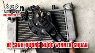 Video 466: Hướng Dẫn Cách Bảo Dưỡng Chăm Sóc Đường Nước Winner Qua Mùa Dịch | Motorcycle TV