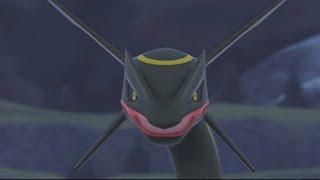 Happy Rayquaza = Confused Screaming