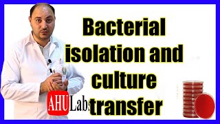 (عزل البكتيريا من المحيط ونقل البكتيريا من وسط زراعي لاخر) Bacterial Isolation \u0026 Culture Transfer