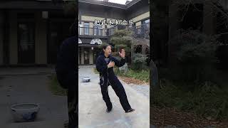 领略太极招式之美——手挥琵琶太极拳 太极养生动起来 武术 传扬中华文化