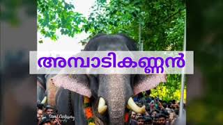 Kalarikkavu ambadi kannan കളരിക്കാവ് അമ്പാടികണ്ണൻ