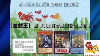 【遊戯王】だるまオリパさんの新春タチウリパで新演出GETなるか！？