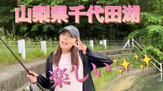 【バス釣り】久しぶりにアタリが沢山ありました♪♪#千代田湖