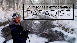 Landscape Photography in AMAZING Conditions | Photographing a Woodland Paradise in Saskatchewan