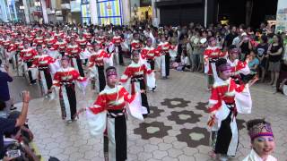 2015年･[4K] 旭食品 ｢2015年よさこい全国大会･帯屋町｣