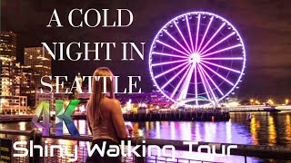 usa Cold Seattle Night Visit Alki Park View Point | Magnificent Great Wheel |Shiny Aquarium Overlook