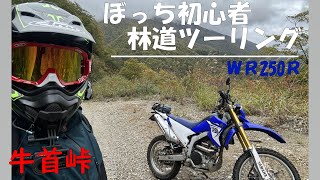 WR250R　林道ツー　牛首峠