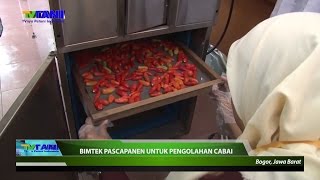 Bimtek Pascapanen Untuk Pengolahan Cabai