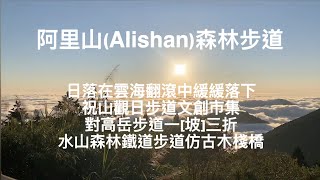 [登山活動] 阿里山（Alishan）森林步道：日落在雲海翻滾中緩緩落下｜祝山觀日步道文創市集｜對高岳步道一『坡』三折｜水山森林鐵道步道仿古木棧橋