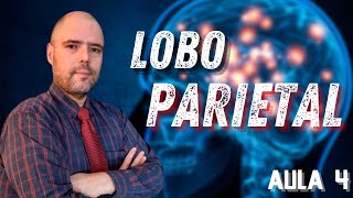 AULA 4 - FUNDAMENTOS DA FISIOLOGIA DO LOBO PARIETAL