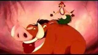 Lion King : Timon and Pumbaa Hula Dance