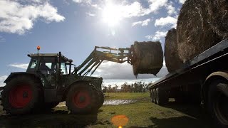 ‘Harrowing story’: Labor policies impacting regional Australians