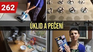 PAN BYDLEN DĚLÁ VOSÍ HNÍZDA/VČELÍ ÚLY | ÚKLID LOŽNICE - JAK SE ZBAVIT ROZTOČŮ | RECEPT NA CRINKLES