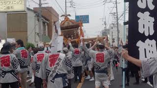 鴻巣夏祭り　大人みこし渡御　2024/07/14  b14