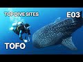 Top Dive Sites | S02 E03 Tofo | Exploring Mozambique’s Underwater Wonders