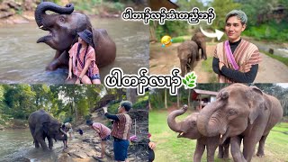 Visit Pah Ter Ler for the first time in Chiangmai🐘🍃 #EP-242