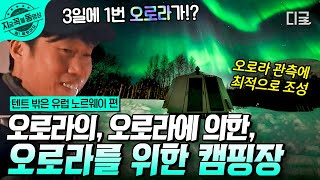 [#텐트밖은유럽노르웨이편] '트롬쇠'에선 오로라를 3일에 1번씩 볼 수 있다고?!😲오직 오로라만을 위해, 오로라의 도시로 오로라 헌팅을 떠난 텐밖즈 3형제! | #지금꼭볼동영상