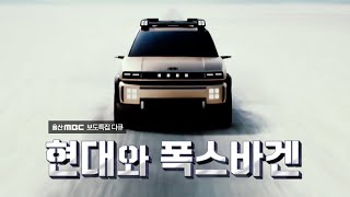 현대와 폭스바겐