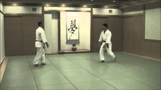 合気道 乱取基本の形17本②-2_肘技(取左)/ Tomiki Aikido Randori 17 Hon②-2 Hiji（Other side)