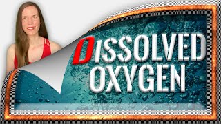 What Is Dissolved Oxygen? 5 Things You Need To Know