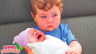 Legendary Moments When Toddlers Meet Newborn Babies - Funny Baby Siblings || Coo